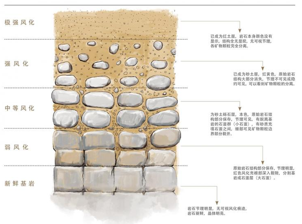 成土母质是土壤与岩石的联系环节,它的 来源是第四纪沉积物或者