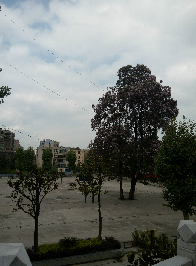 学校在同一个高中发现是怀孕?会学校被感受高中留级不会图片