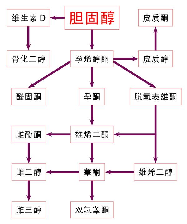 为什么 2015 版《美国居民膳食指南》中撤销了对胆固醇的摄入限制?