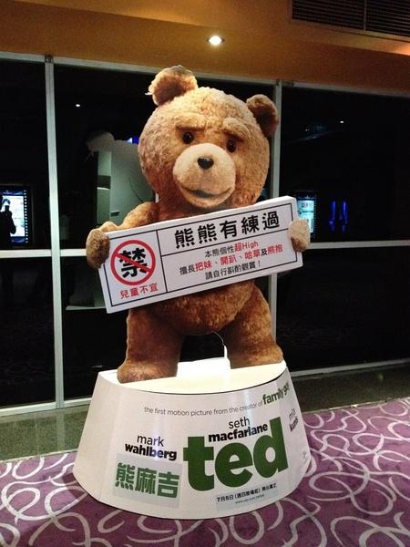 刚出生的泰迪怎么养?