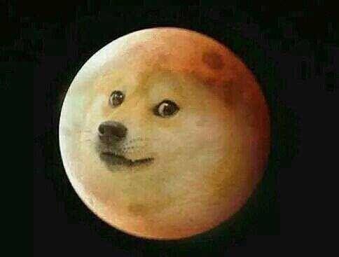 你的乳名是什么? - 鹿岛的回答