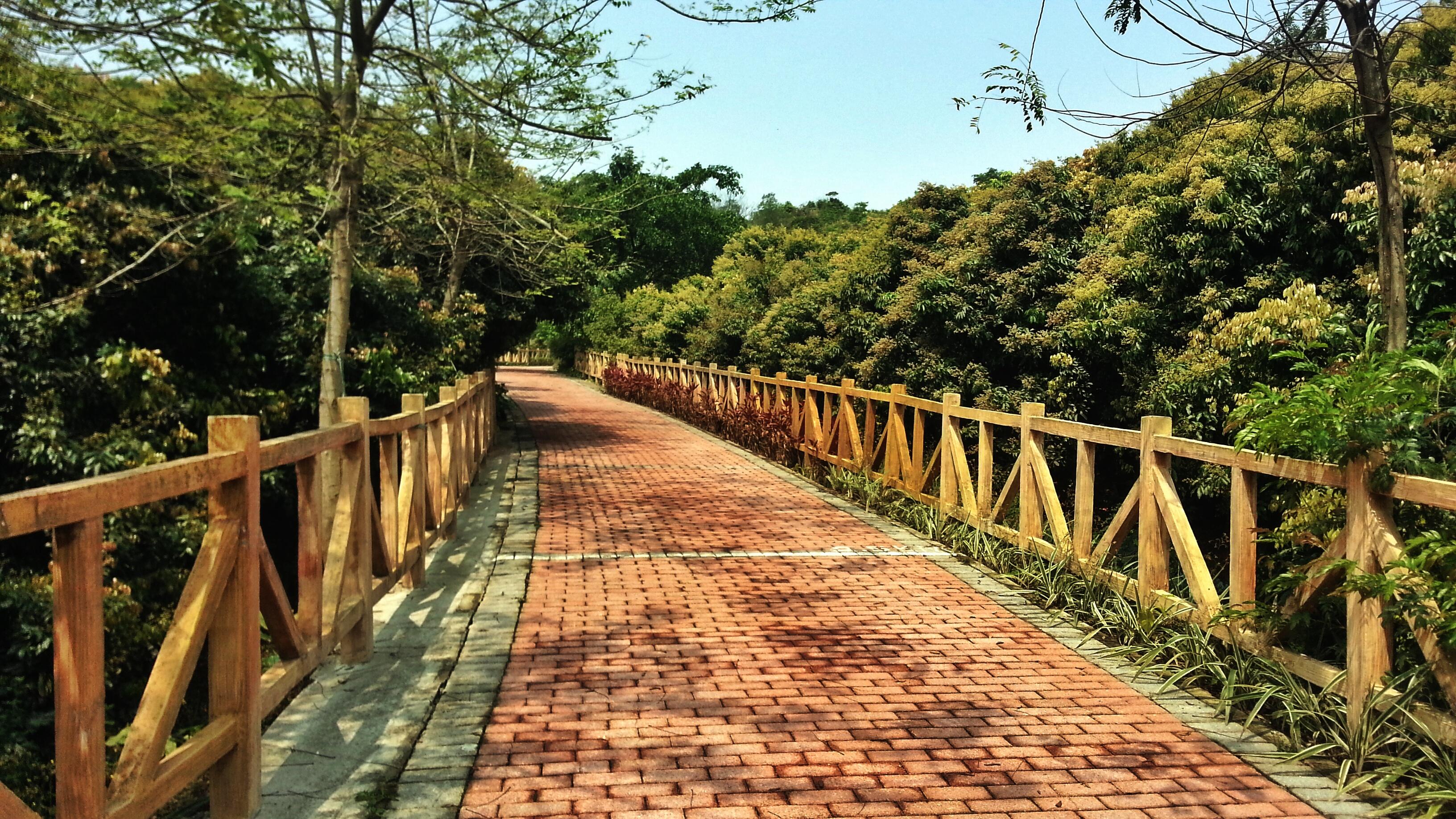 深圳两天时间有哪些值得玩的地方?