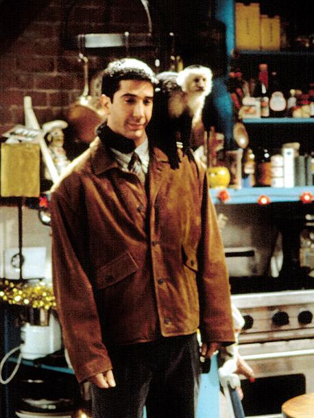 有哪些让你摇晃身体的小骚歌? - effy 的回答 - 知