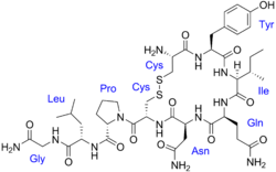 先来认识这个东西,它是一种荷尔蒙,叫做 后叶催产素(oxytocin.