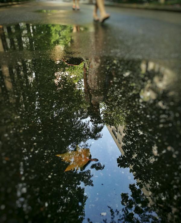 三,就算大雨将这座城市颠倒