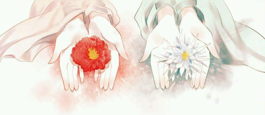 有什么好看的国漫? - 王傻的回答