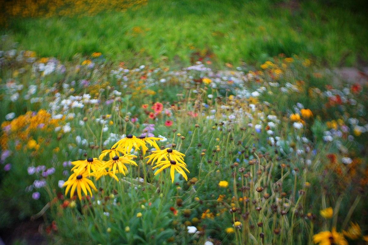 Cctv头拍微电影怎么样? 微电影拍摄镜头怎么选
