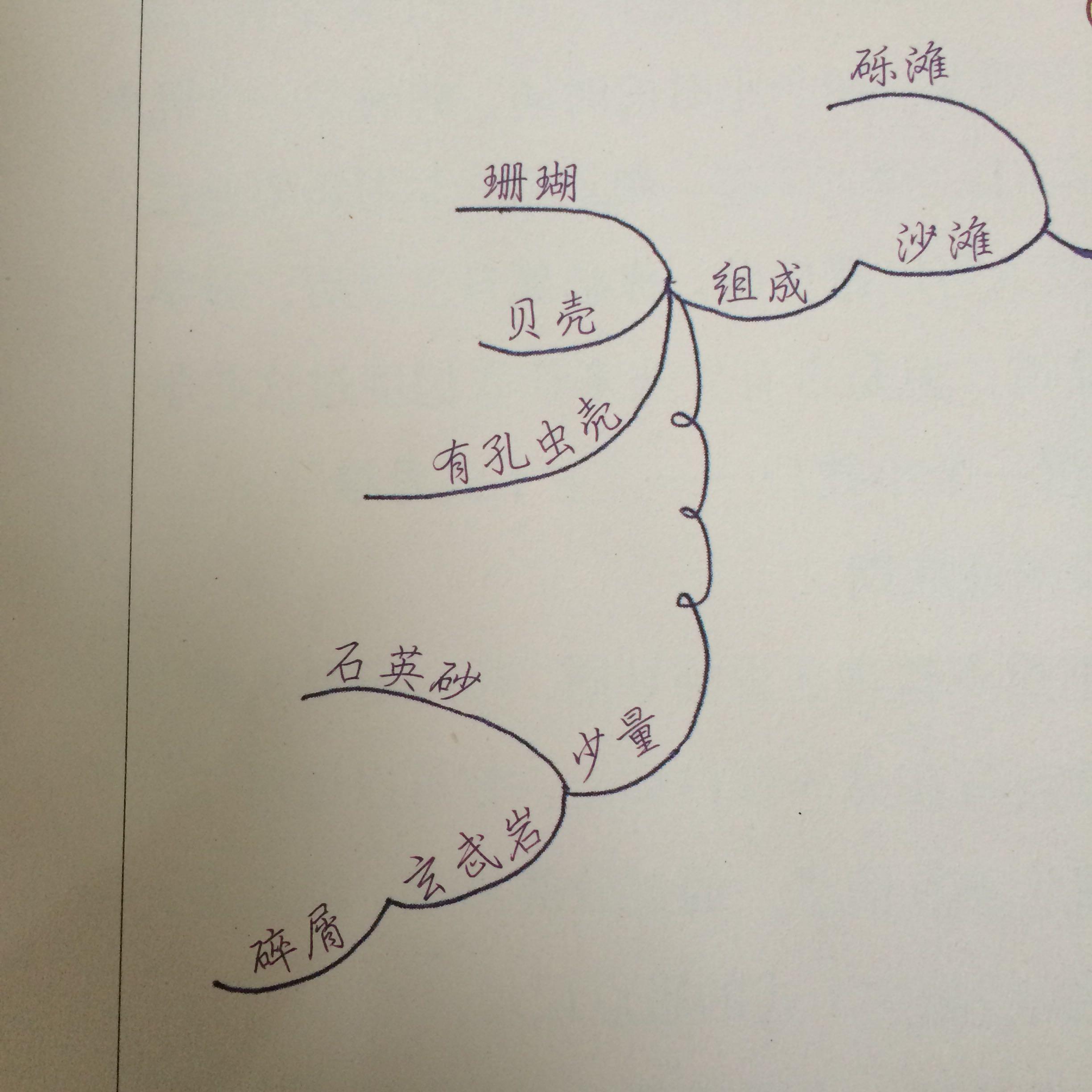 陈资璧 《你的第一本思维导图操作书》里范例的字体是