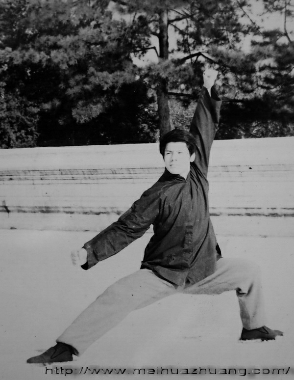 梅花拳讲究一进二退三法四门五势六合七疾八方九成十拧(祝我没背错吧.