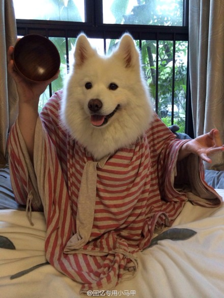 <em>新浪微博</em>红人回忆专用<em>小马甲</em>是一个怎样的人