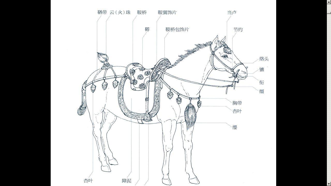 中国古代的马匹饰物各有其名称,【图示】如下—— 有兴趣可以阅读