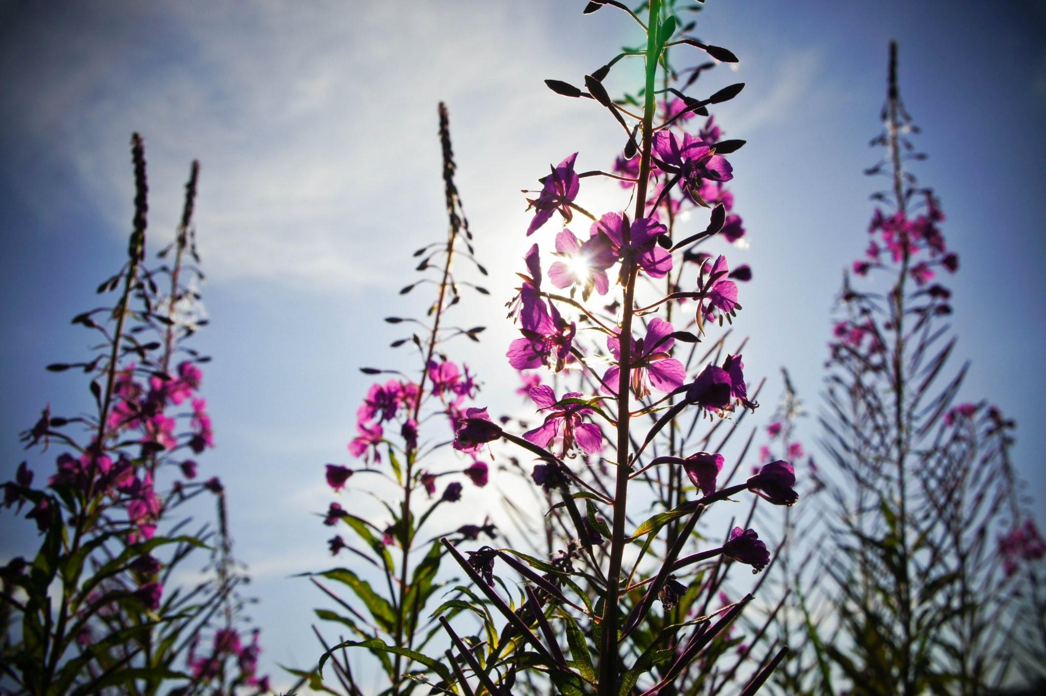 宾得K01,索尼nex3N,以及nex5R选哪个好?理由