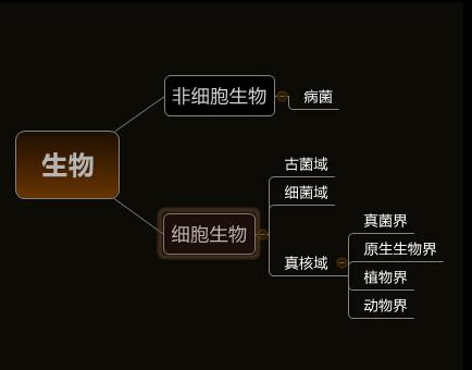 人类起源的大致过程是什么