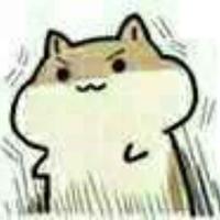 一只仓鼠站起来了