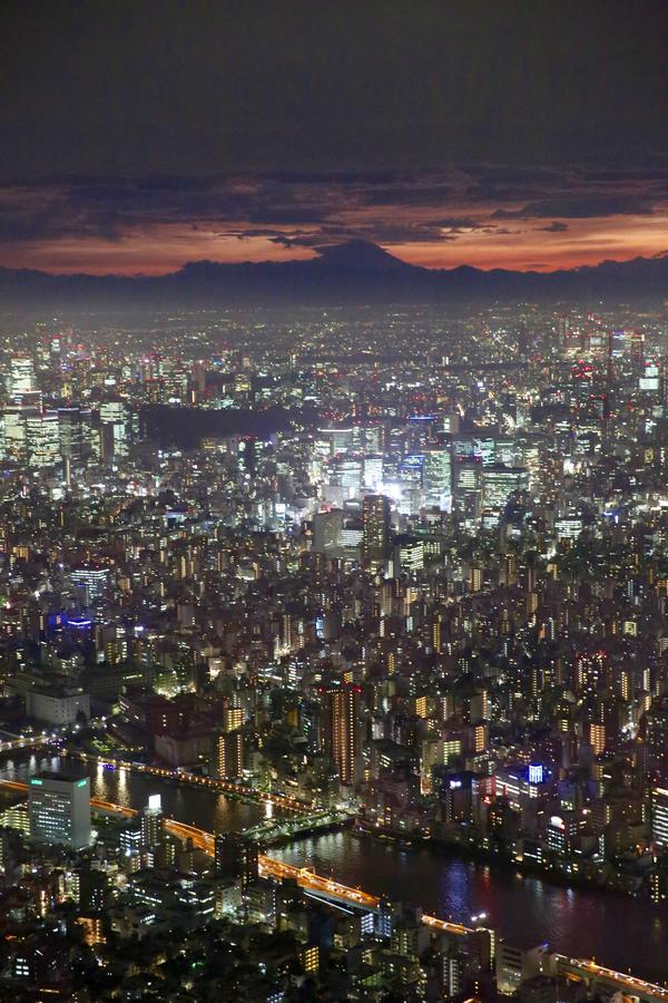东京都有哪些值得一去的地方?