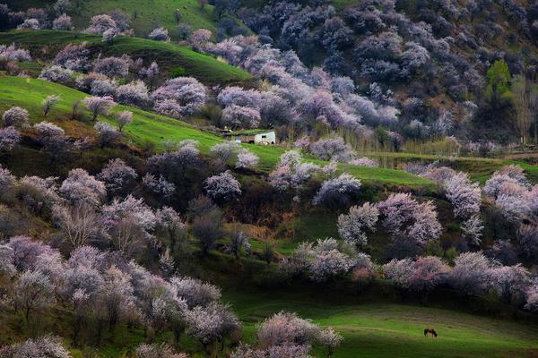 去新疆要注意什么