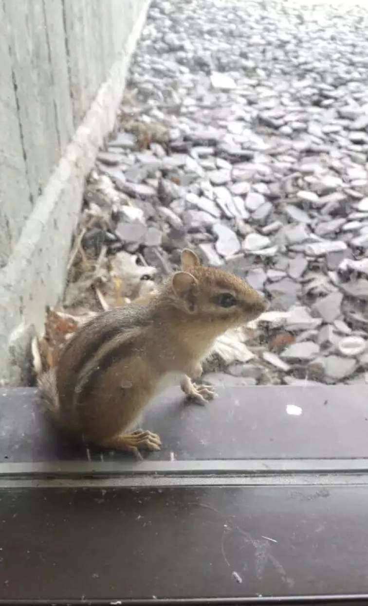 现在的中国在哪些方面落后于世界先进水平? -