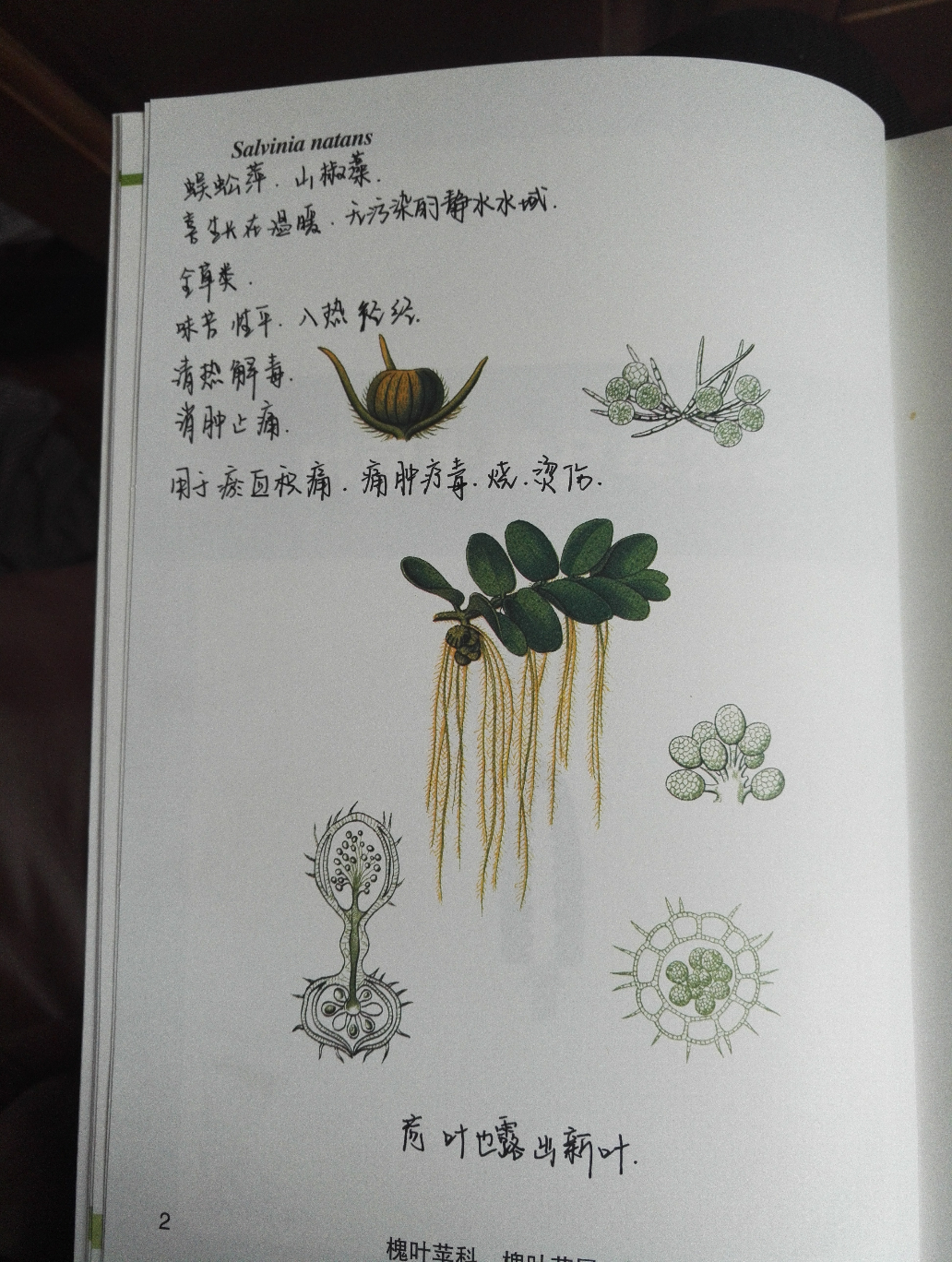 初中女生学打扮自己,学搭配穿衣?-王初中模特学校图片
