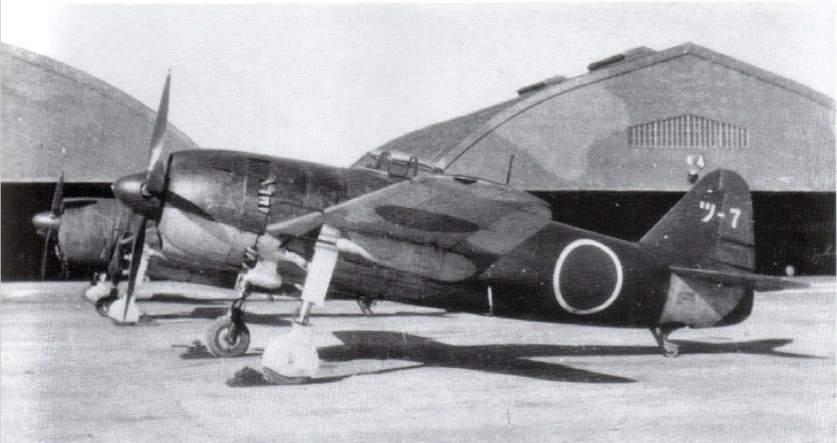 太平洋战争期间日本海军航空队局地战斗机的涂