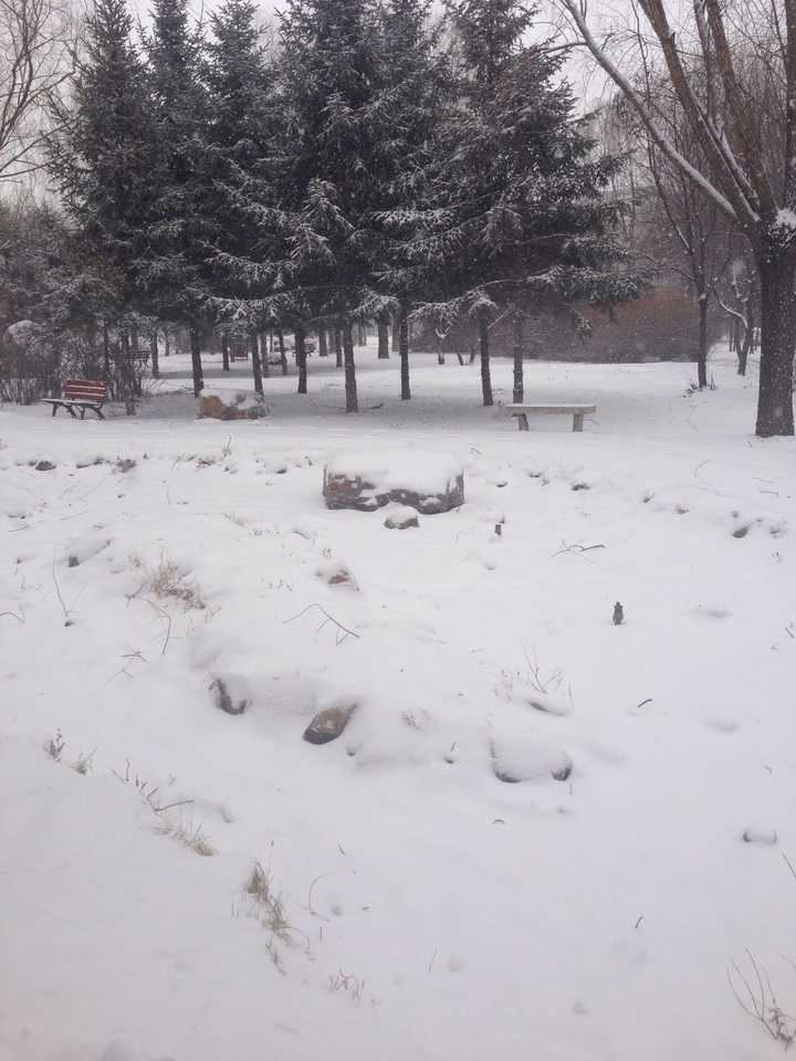 附雪景图一张