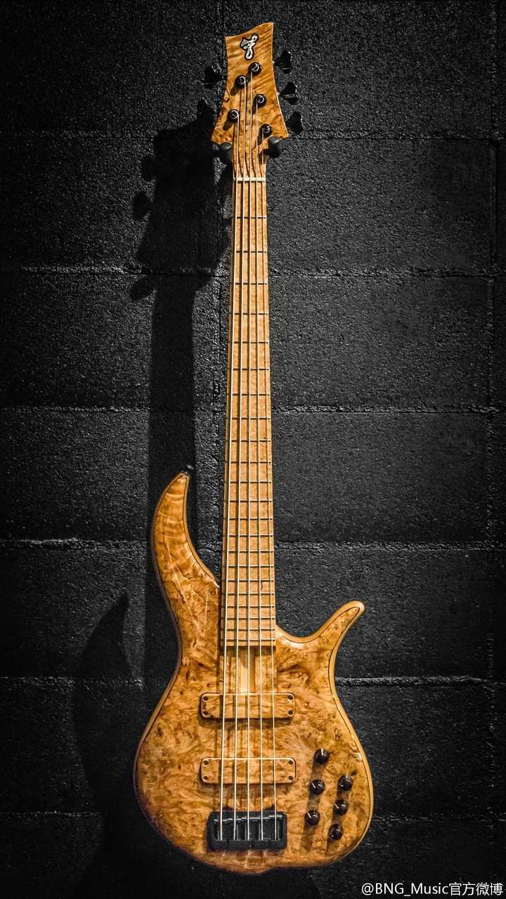 pangton le fay remington laurus modulus quantum  musicman bongo