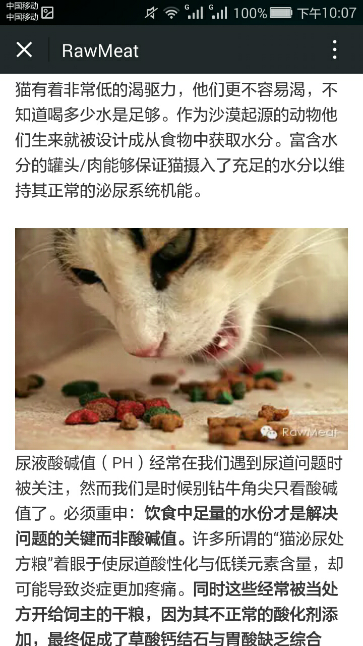 得过膀胱炎,尿路结晶的猫咪可以吃高蛋白(42%的渴望)猫粮吗?