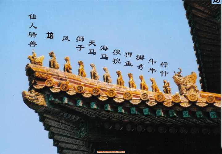 5 个回答 有一个动物重四百斤,一座桥承重两百斤,它怎么过桥?