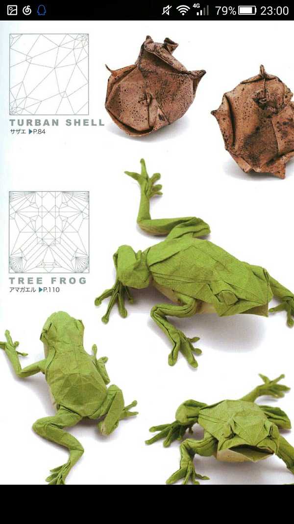 如何折出一个具有美感的纸青蛙?