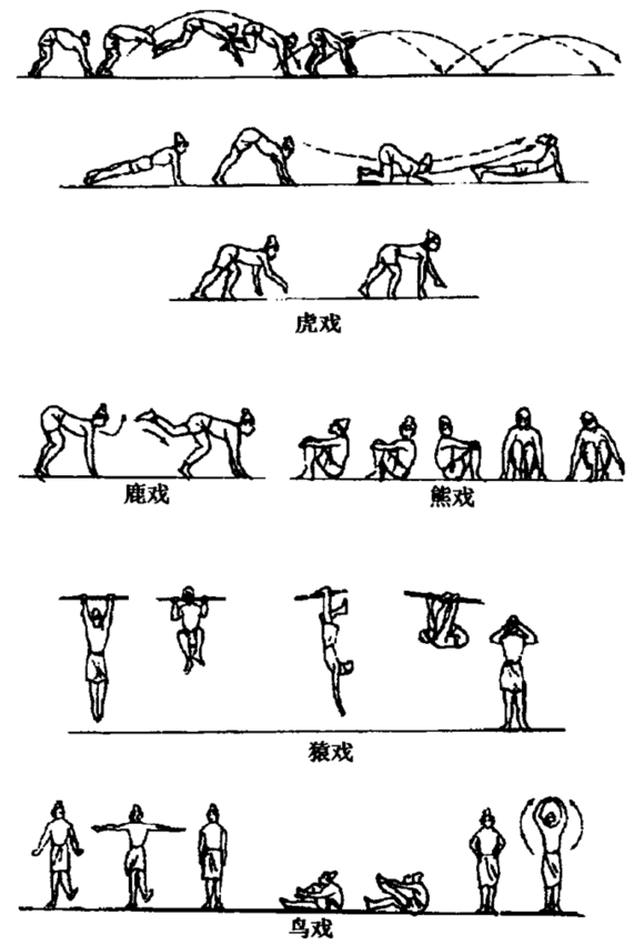 谁能翻译一下这段关于五禽戏的古文