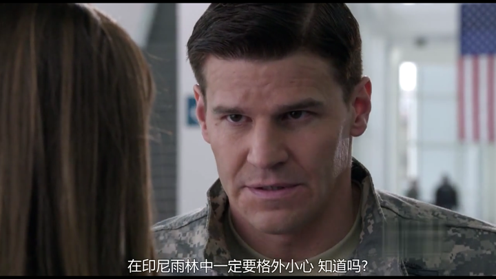 识骨寻踪中bones和both谁爱对方更多?