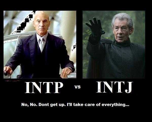 intj 与 intp 的区别是什么?