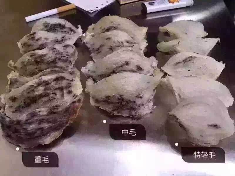 是这样的 您指的毛燕窝,是指的燕窝未加工前的状