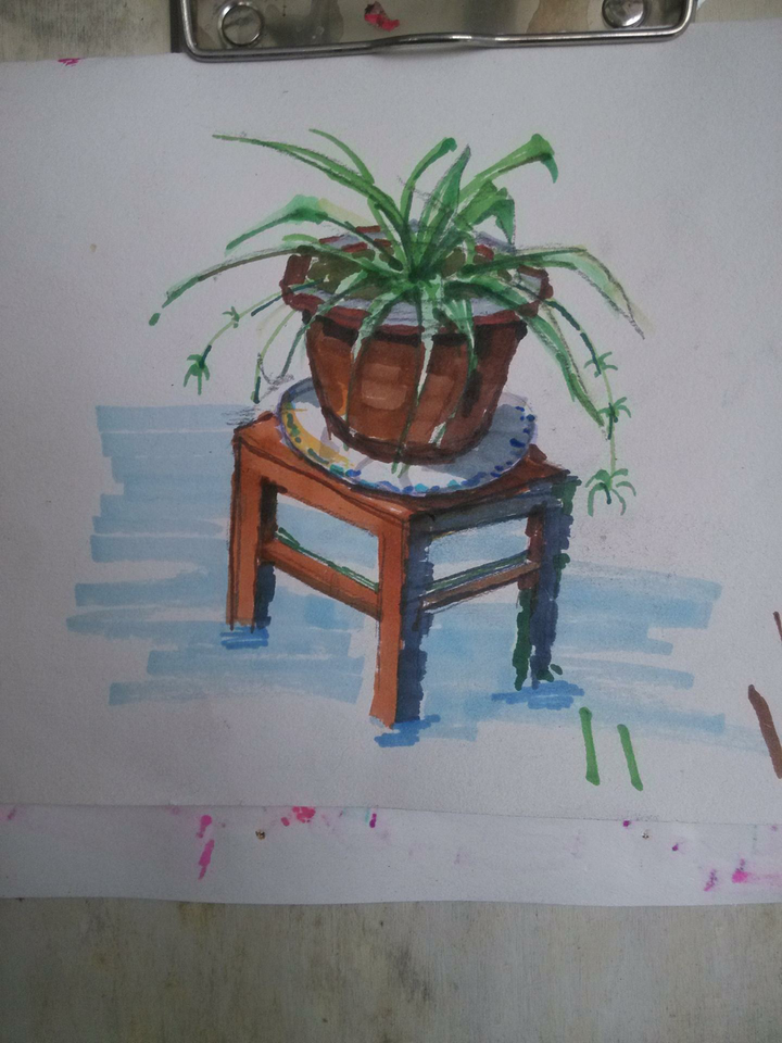 马克笔画的吊兰