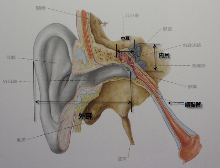 如何判断内耳道是否存在异物?