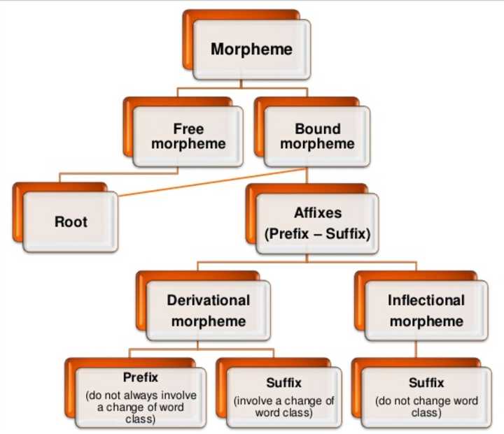 functional morpheme, morph,morpheme 和 allomorph 的区别及关系是什么?