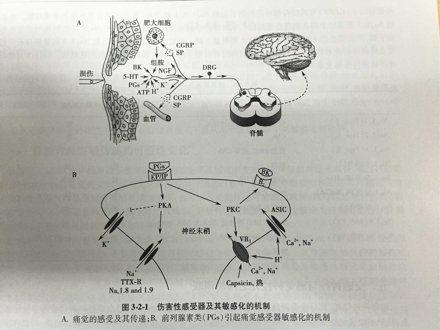 疼痛
