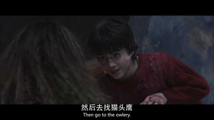 3 个回答 如果当年伏地魔选择的是纳威而不是哈利波特,哈利会成为一个