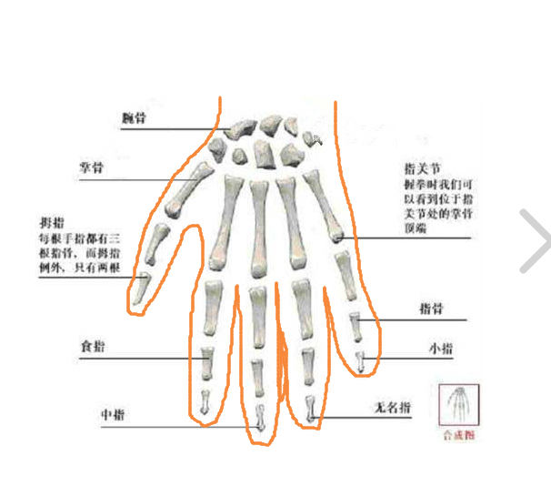 图片说明一切(渣渣画工,逃)