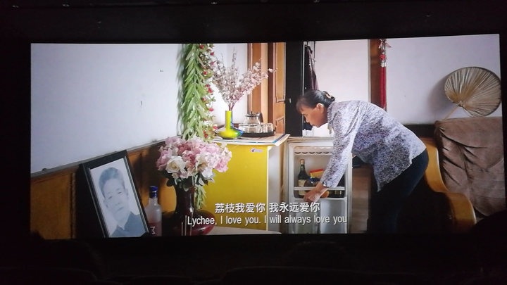 如何评价电影《从你的全世界路过》?