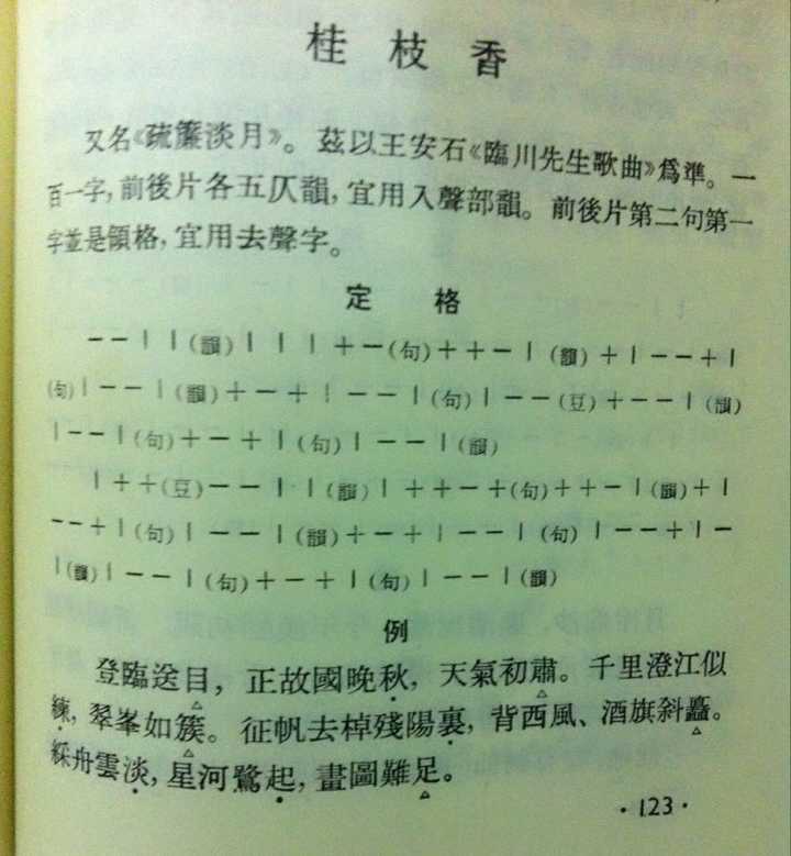 王安石《桂枝香·金陵怀古》中"千古凭高对此漫嗟荣辱"一句的断句是