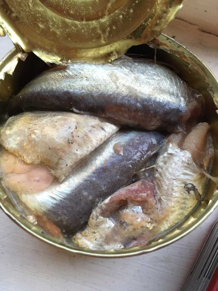 吃鲱鱼罐头是怎样一种体验?