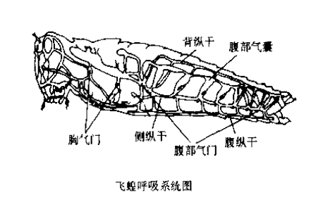 自然科学