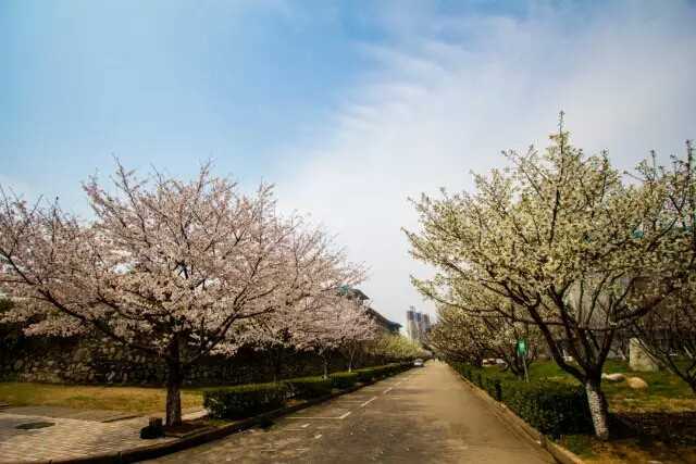 另外,田玉美,陈国权,邱幸凡,涂晋文,陈如泉,黎烈荣等等在中医界都