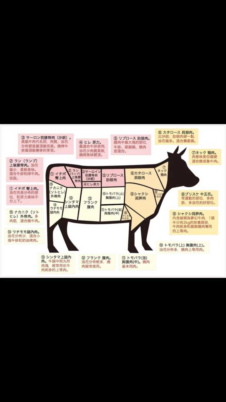 问问进口牛肉什么部位分别能用于火锅店和烤肉店?