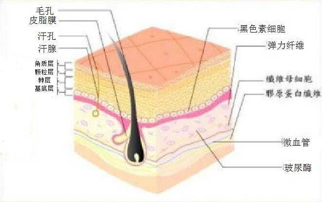 混合型皮肤祛痘印应该用什么产品?痘印较多,一波未平一波又起.感谢!