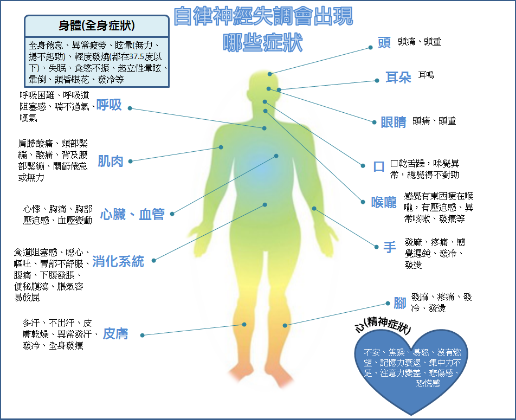 为什么有人认为中医肾虚的肾不是实际人体的器官?