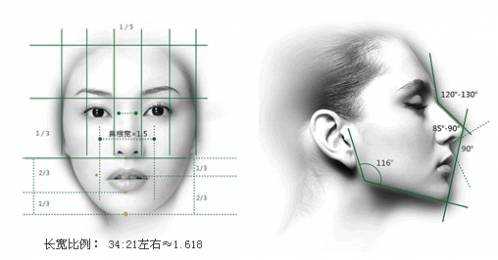 而美人的常识为"三庭五眼,三低四高",凤姐眼睛以上都是非常漂亮的,有