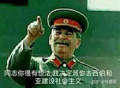 分享一下p社表情包