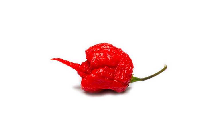 6,"壮汉t"特立尼达蝎子椒(trinidad scorpion "butch t"),辣度:1,463