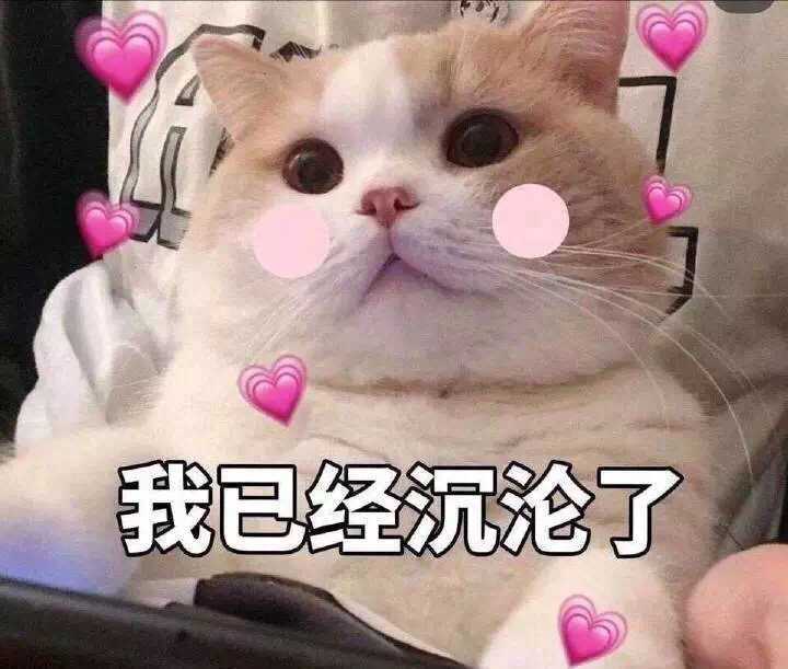 有什么适用于和老公/男票撒娇的可爱表情包?